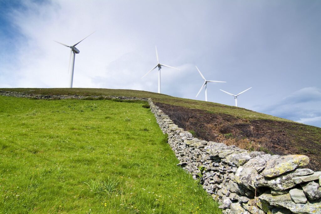 Tree-planting search engine Ecosia launches new web browser that can produce clean energy — here's how it works