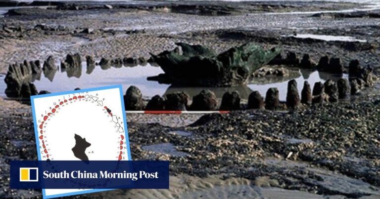 Stonehenge of the sea built 4,000 years ago as a prayer for climate change amid existential threat