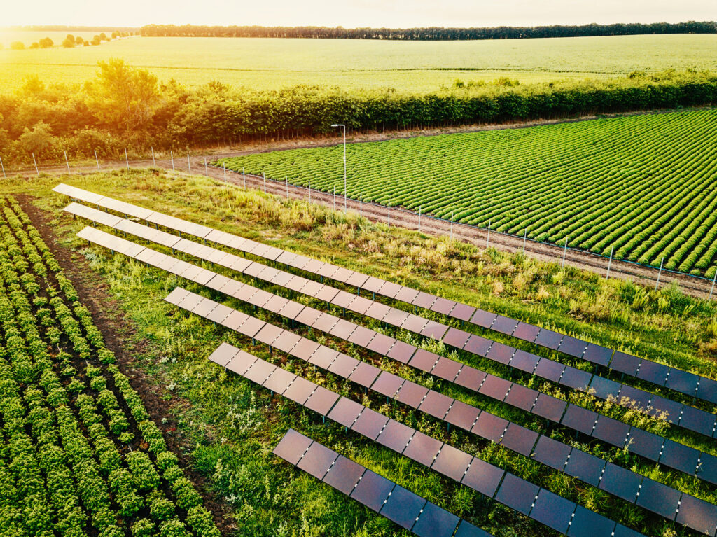 Solar farm