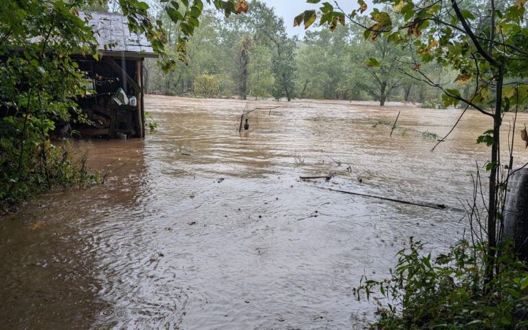 North Carolina Community Prepares for Hurricane Helene A small community - Creation Covenant Alliance The South Toe River rose 25 feet above normal during Hurricane Helene, drowning Celo’s common areas.