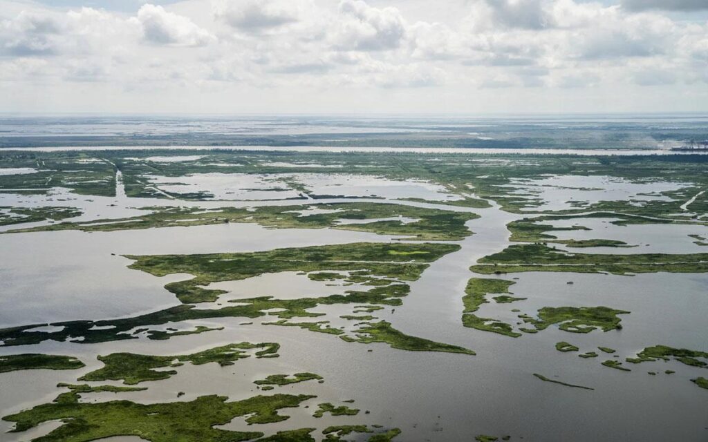 Aerial view of Plaquemines Parish in the lower Mississippi River Basin.