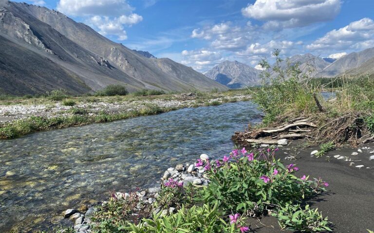 On the north slope of the Brooks Range in the Alaska National Wildlife Refuge, pristine rivers run toward Prudhoe Bay. | Photo by Cassidy Randall