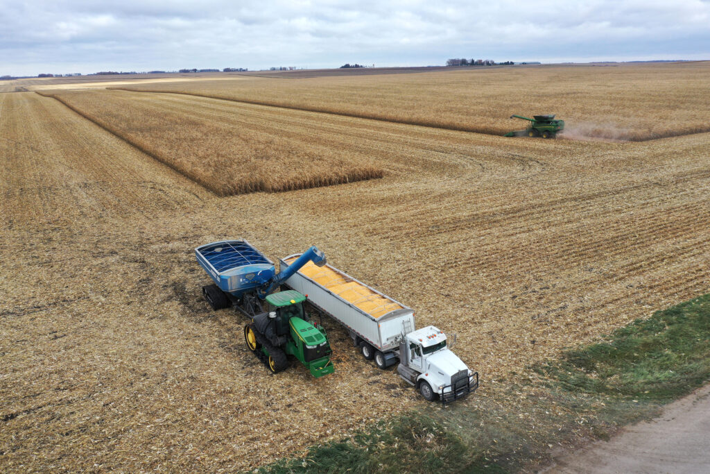 An aerial view shows farmworkers harvesting corn on Oct. 31, 2023 near McIntire, Iowa. Credit: Scott Olson/Getty Images