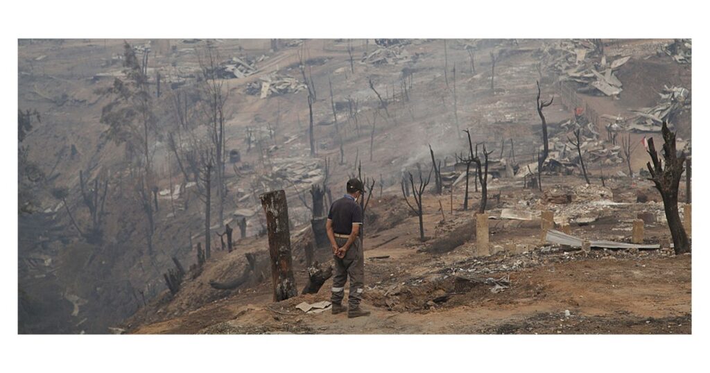 Climate Change | Chile's Forests