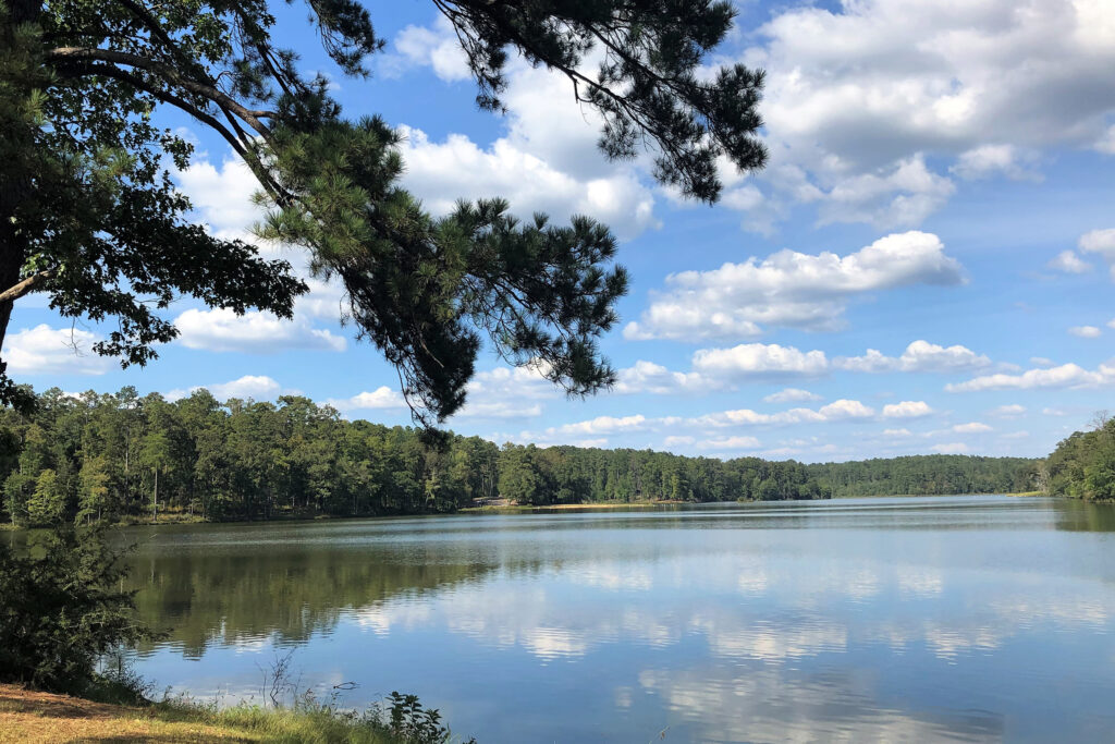 Oil and gas development within Alabama’s Conecuh National Forest could potentially put recreation areas like Blue Lake and Open Pond at an environmental risk. Credit: U.S. Forest Service