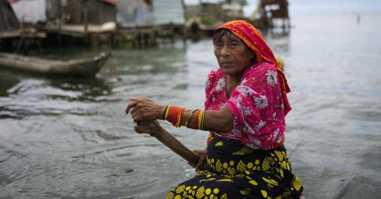 Q&A: United Nations Climate Change Conference (COP30)