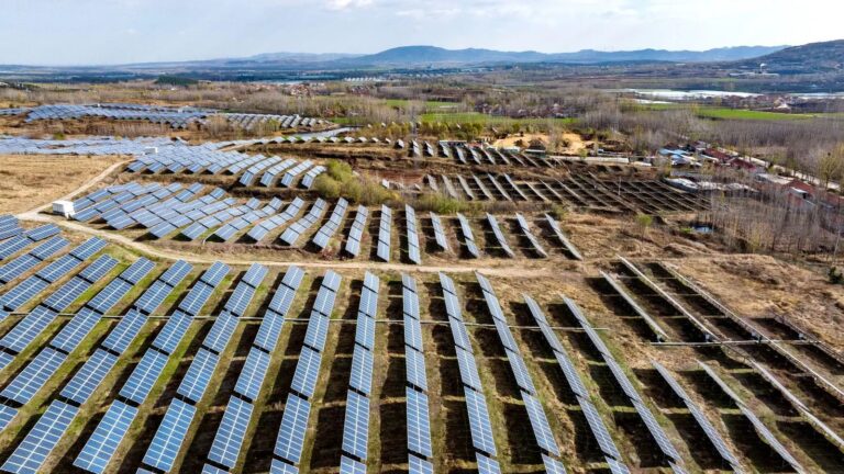 aerial view of solar panels in field