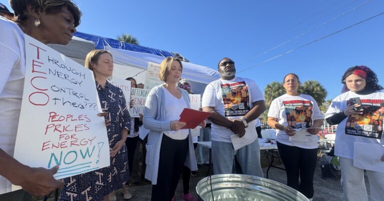 Kathy Castor joins rally against high electricity bills in Tampa
