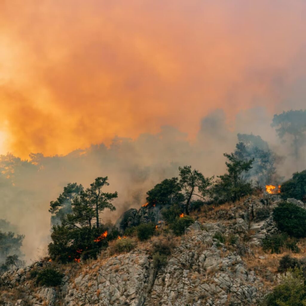 intensification of extreme weather events