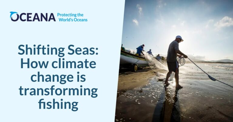 Shifting Seas: How climate change is transforming fishing  