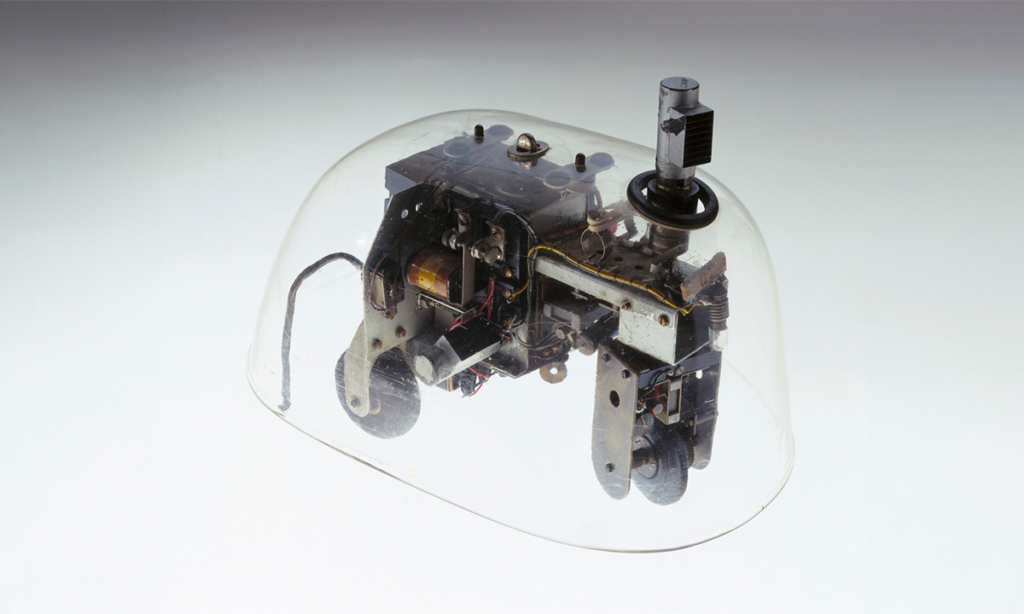 The Tortoises That Inspired Modern Robotics