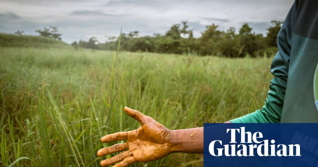 ‘The last frontier’: how red globules of nickel ore are suffocating an island’s precious wilderness | Mining