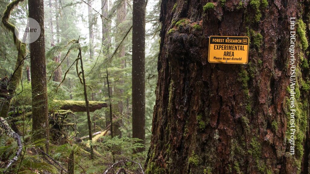 why environmental science needs to rethink its focus
