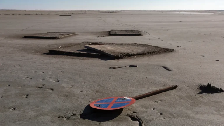 A parched desert.