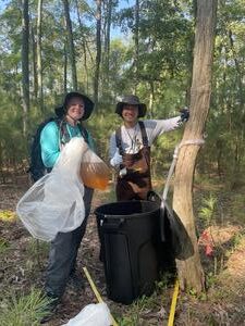 ‘Ghost forests’ could be key to understanding coastal resilience to climate change