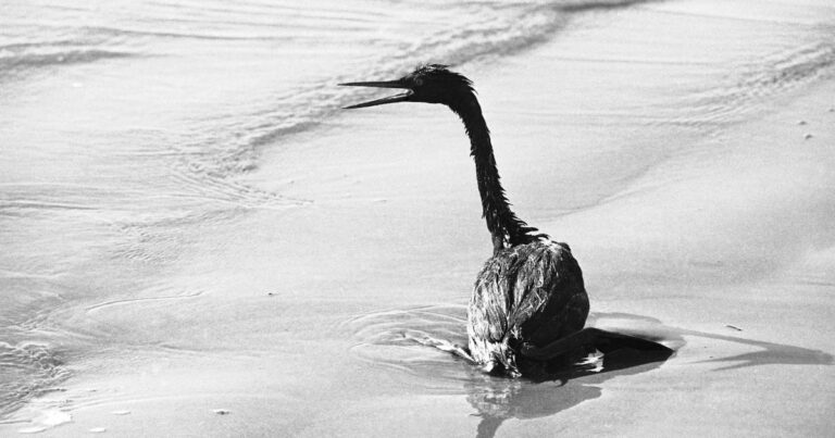 Let's TALK climate - by Bill McKibben