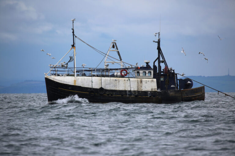 A bottom trawling boat is seen at sea. Credit: Open Seas/National Geographic Pristine Seas