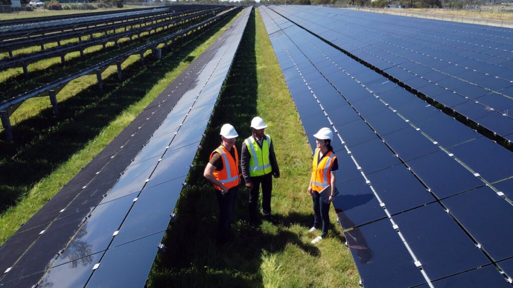 Solar panel technicians are standing in the middle of a solar farm.