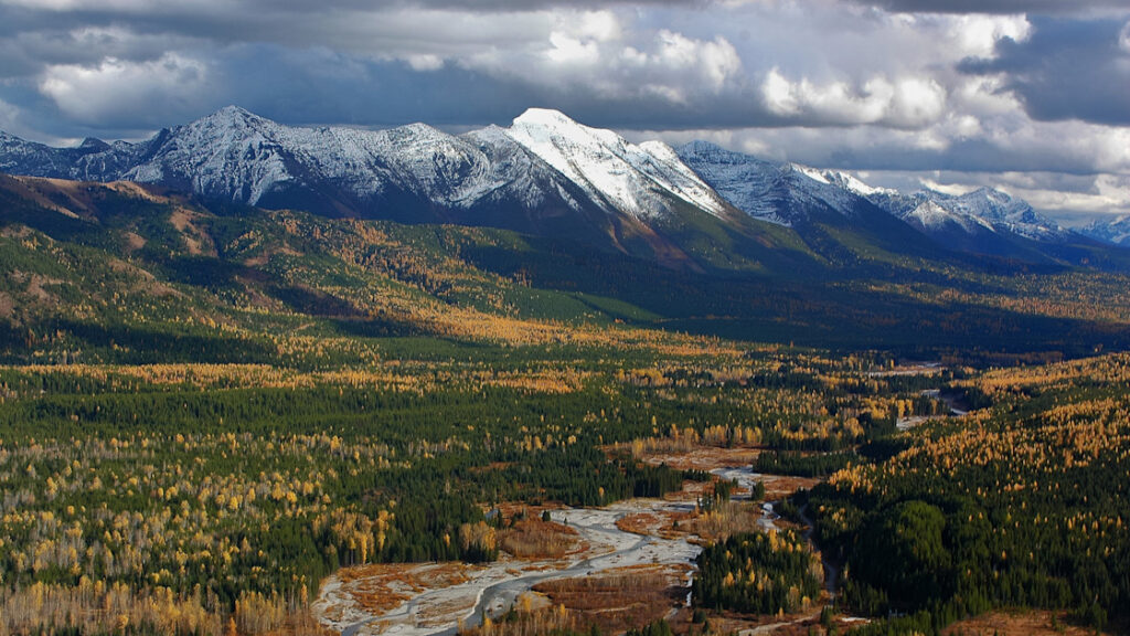 Halting and reversing biodiversity loss by 2030 critical to avoid disastrous effects on human well-being