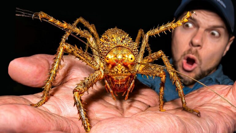 Close-up of a large orange, spiky insect resting on a person's palm with a surprised man in the background.