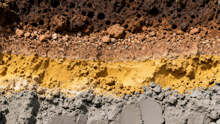 How AI could help scientists secure soil—a vital global resource