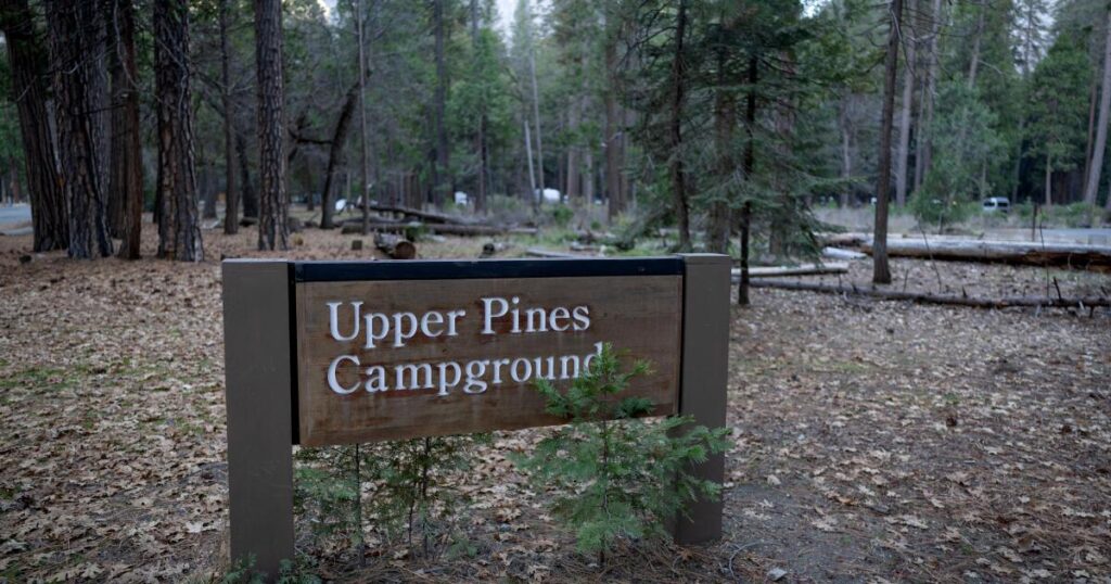 Why a major reorganization at the Forest Service has people concerned