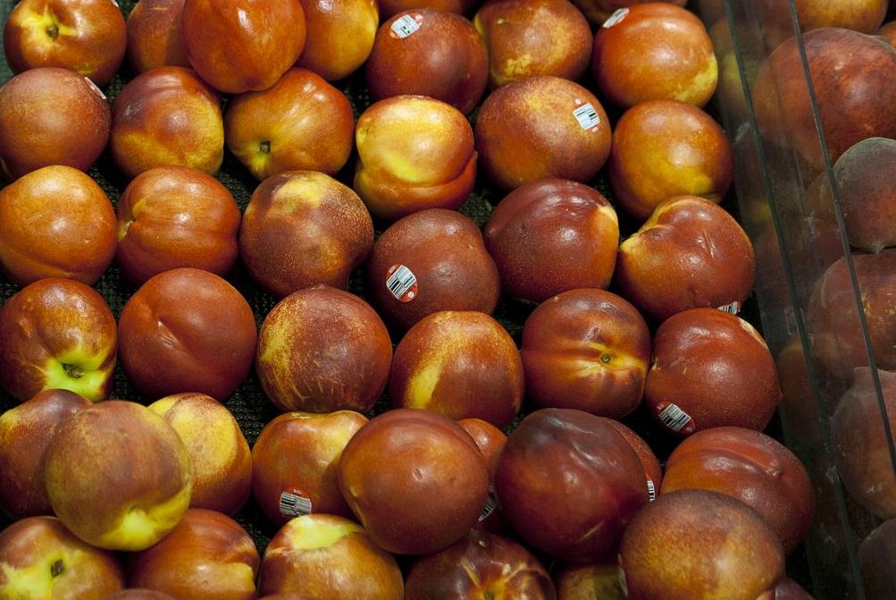 A fungal disease, along with climate change, threatens Colorado’s prized peaches