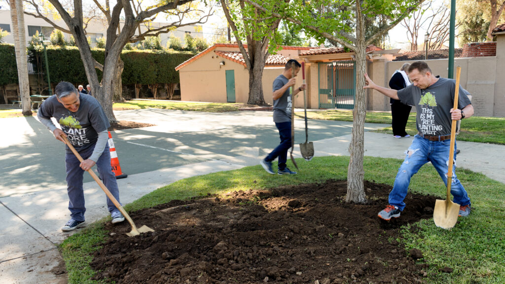 The solution to urban heat is much, much simpler than you think