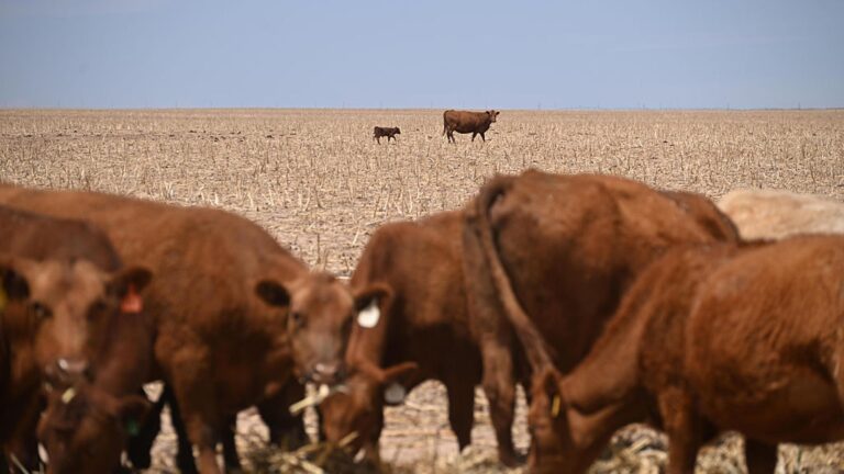 The Worst Spring Drought on Record Is Putting U.S. Crops at Risk