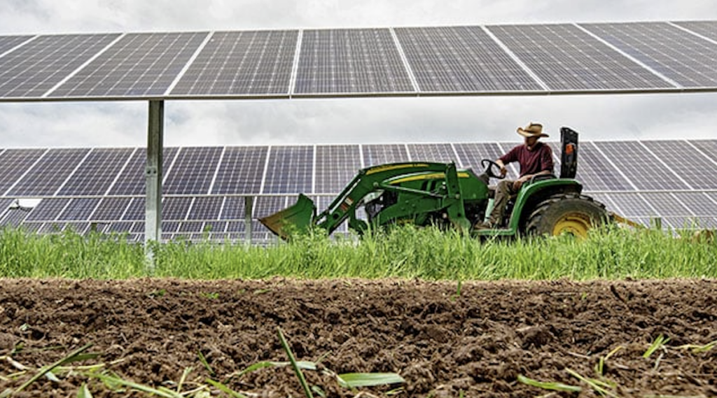 nrel-solar-agrivoltaic