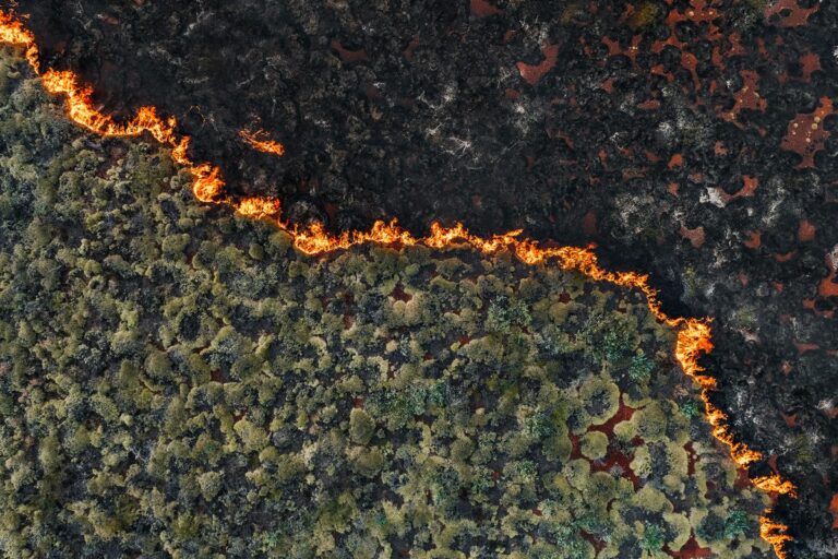 Permit burn spreading through green coloured bush land in the Australian outback photographed from a drone point of view.
