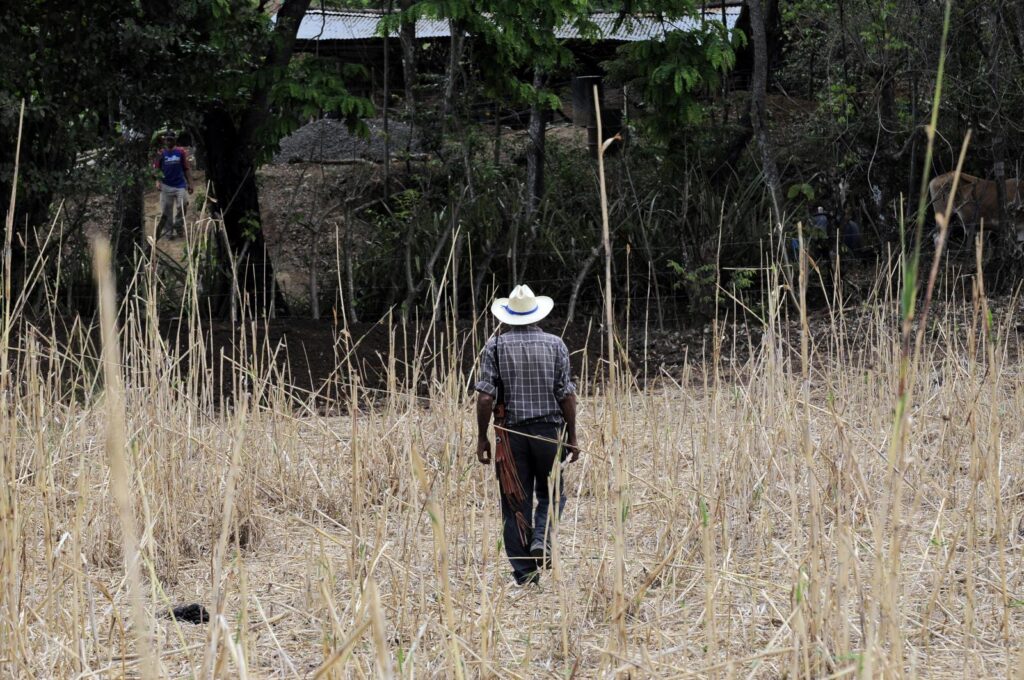 US policy, gangs and climate change are reshaping Central America