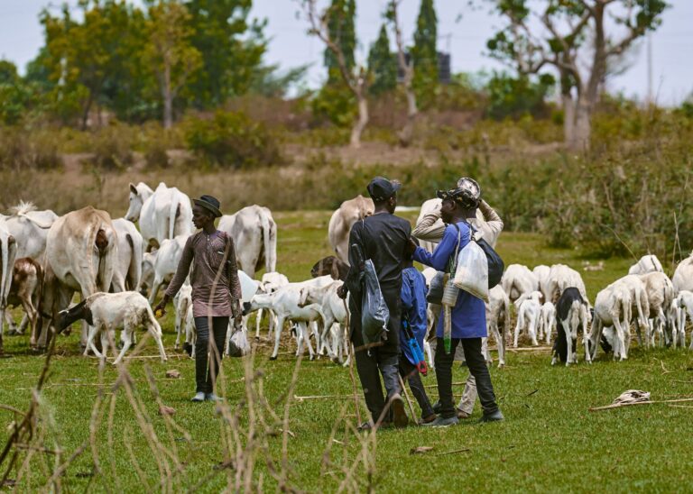 Building Peace Amidst Farmer-Herder Conflicts in Sub-Saharan Africa