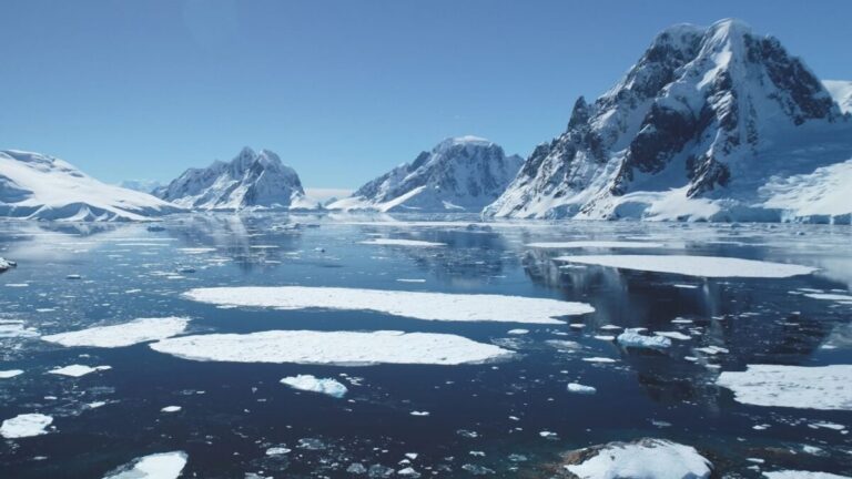Antarctic Temperatures Hit a Record High This Month