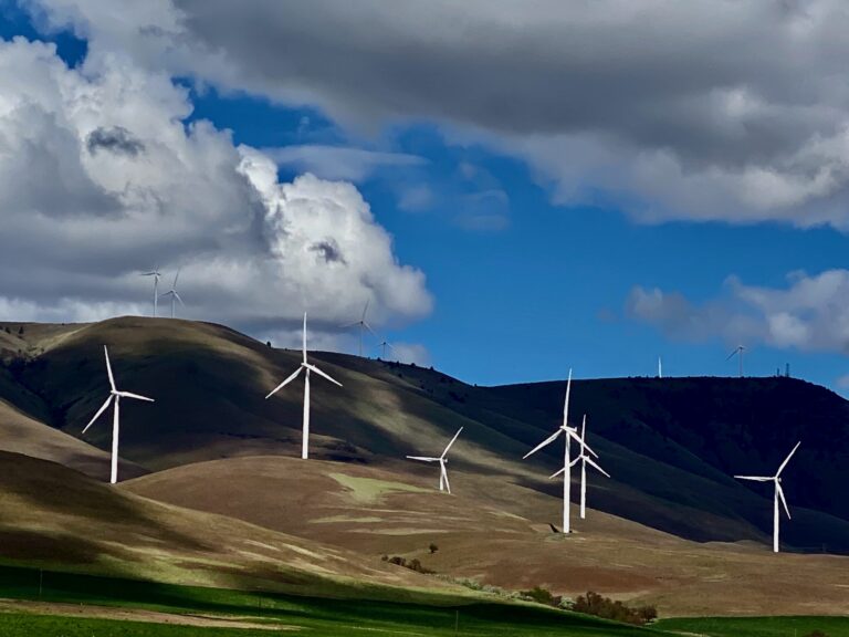 Clean Energy Investments Can Lead to Good Union Jobs