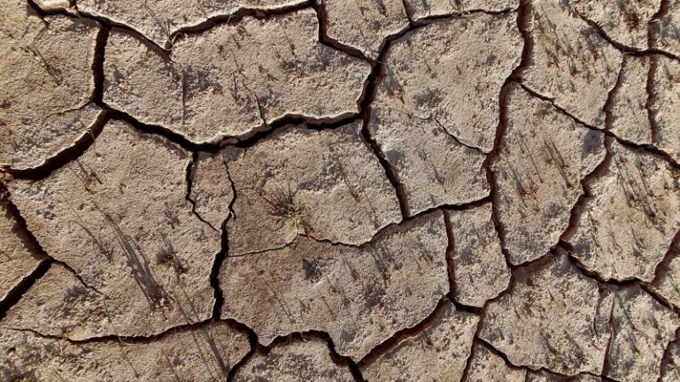 All It Takes Is a Broken Car Air Conditioner for Climate Change to Kill You