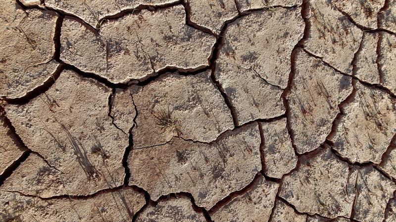 All It Takes Is a Broken Car Air Conditioner for Climate Change to Kill You