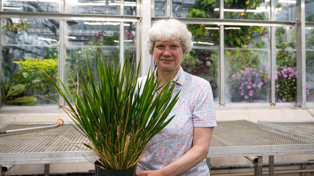 Q&A: Can plants help reverse climate change?