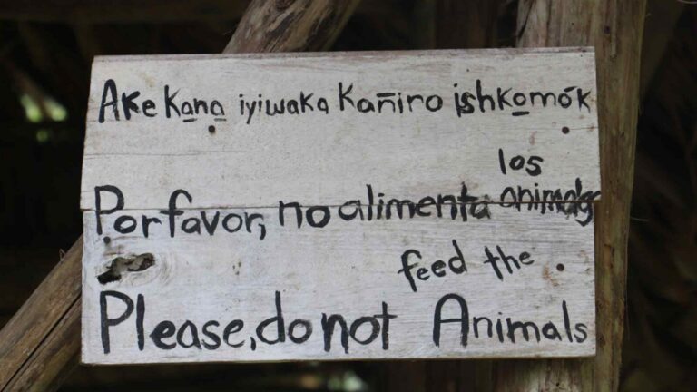 The Extinction of Languages Is an Environmental Issue
