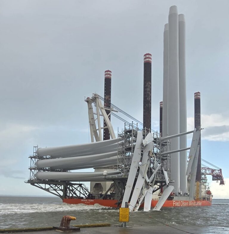 Preliminary Findings Shed More Light on Brave Tern Collision in Esbjerg