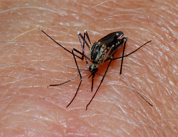 Climate change shifts malaria risk across sub-Saharan Africa