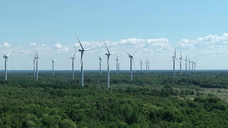 Sweeping victory for Europe as 15 nations top climate scoreboard – see the full list