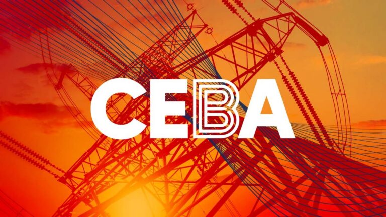CEBA's Scope 3 Spotlight: New Strategies for Reaching Emissions Beyond Direct Supplier Reach - CEBA