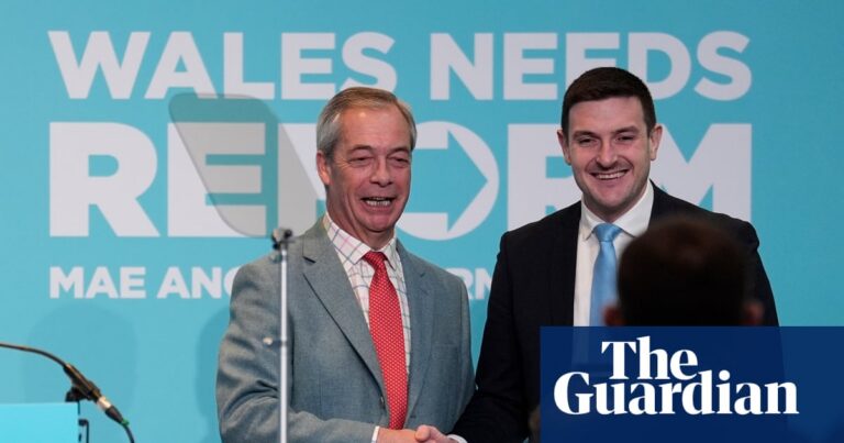 Reform UK chair of Welsh environment committee may ‘undermine scrutiny’, says thinktank | Environment