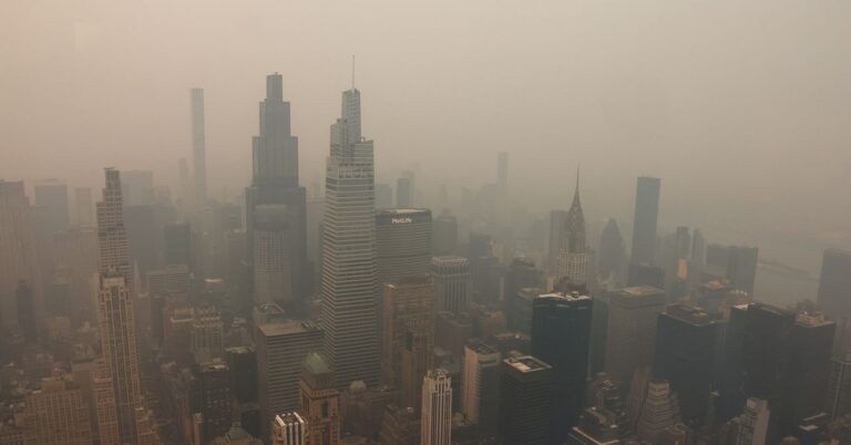 FIFA Doesn’t Have a Plan to Deal With Climate Change