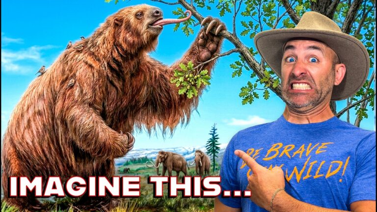 Man in a wide-brim hat and blue shirt grimaces as a large hairy Sasquatch extends a long tongue toward him in a bright outdoor scene with mountains in the background.