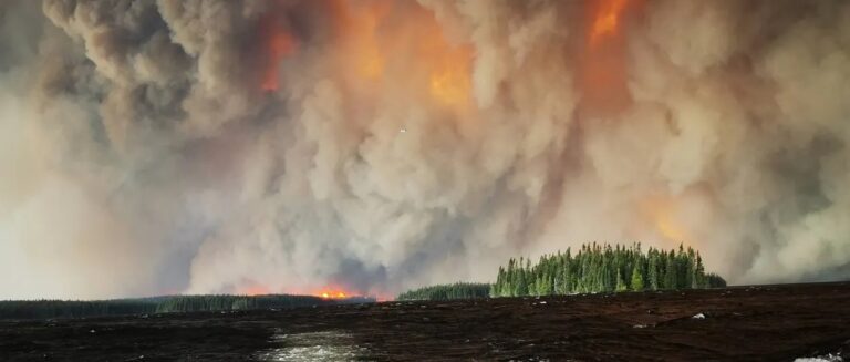 It Takes Willful Ignorance to Ignore Climate Change