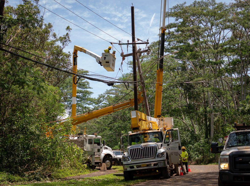 A HECO crew works on transmission lines on Higgins Road in Mililani August 18, 2026. Heavy tree growth and Lala