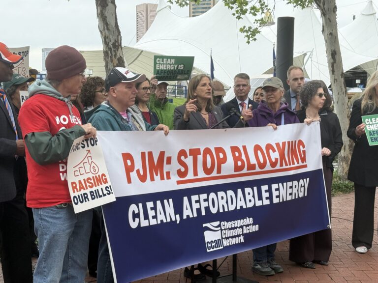 Del. Lorig Charkoudian (D-Montgomery) and Sen. Katie Fry Hester (D-Howard and Montgomery) were among lawmakers who rallied to push PJM on clean-energy projects and on holding data centers accountable for their power needs. (Photo by Christine Condon/Maryland Matters)