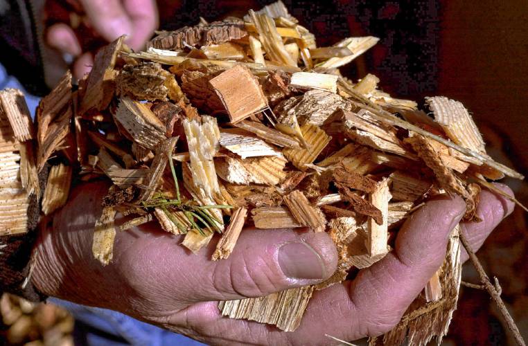 Senate amendment closes biomass loophole; regional activists call it a win after 15-year fight